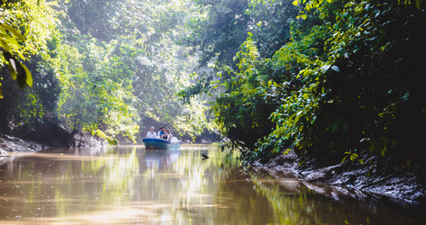 Similar image 21394055