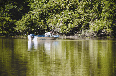 Similar image 21394057