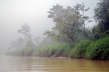 Similar image 21394330