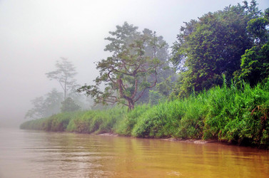 Similar image 21394331