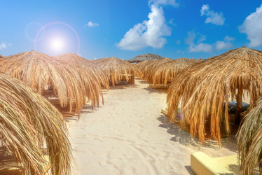 Similar image 21393464