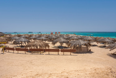 Similar image 21393474