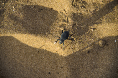 Similar image 21393725