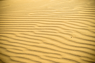 Similar image 21394062