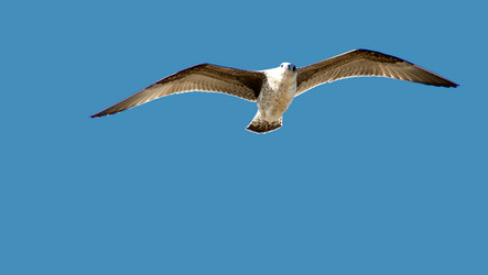 Similar image 21394063