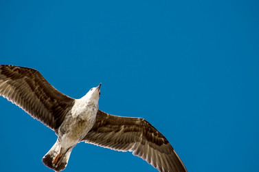 Similar image 21394067