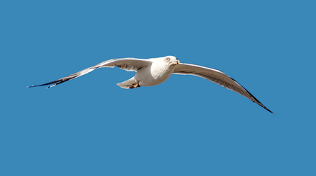 Similar image 21394069