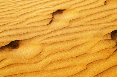 Similar image 21394593