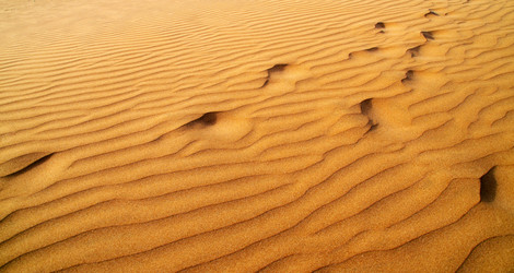 Similar image 21394595