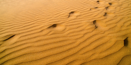 Similar image 21394597