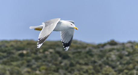 Similar image 21389969