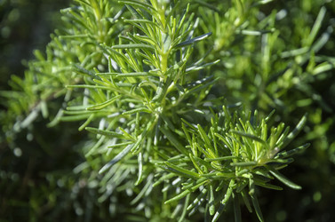 Similar image 21391727