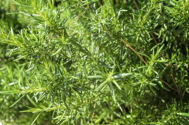 Similar image 21391729