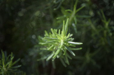 Similar image 21391731