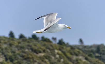 Similar image 21391732