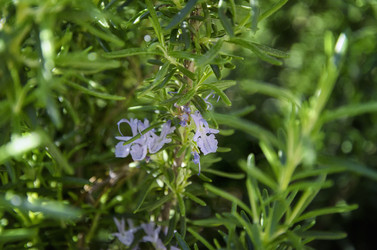 Similar image 21392024