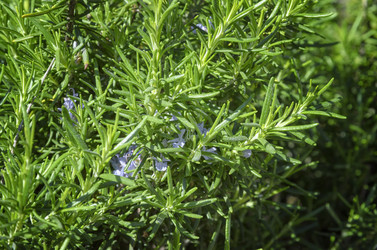 Similar image 21392026