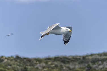 Similar image 21392522