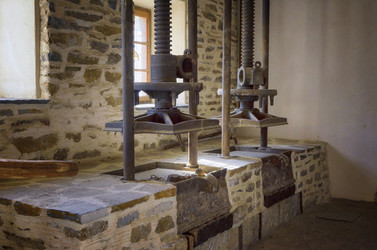 Similar image 21393479