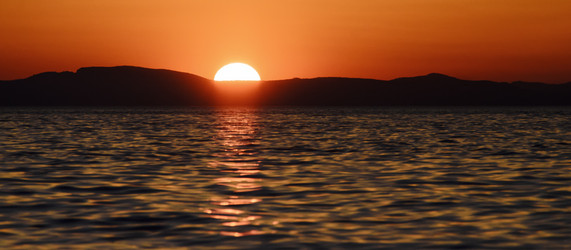 Similar image 21393487