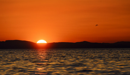 Similar image 21393735