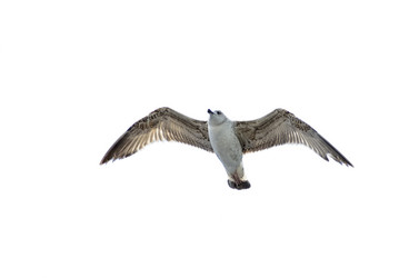 Similar image 21393909