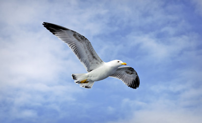 Similar image 21394076