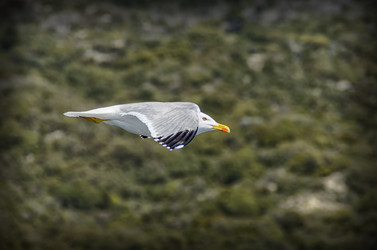 Similar image 21394077