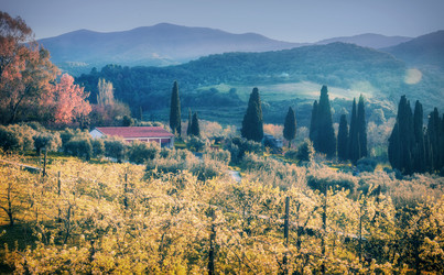 Similar image 21394348