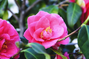 Similar image 21394350