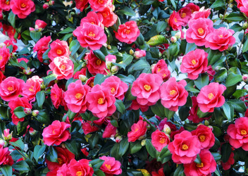 Similar image 21394605