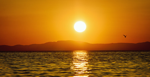 Similar image 21394606