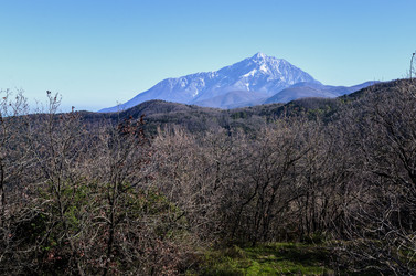 Similar image 21389684