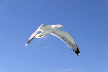 Similar image 21389685