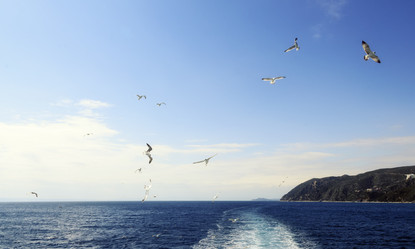 Similar image 21389972