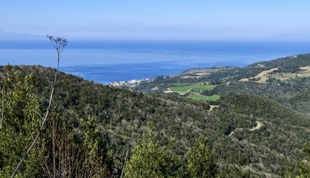 Similar image 21389975