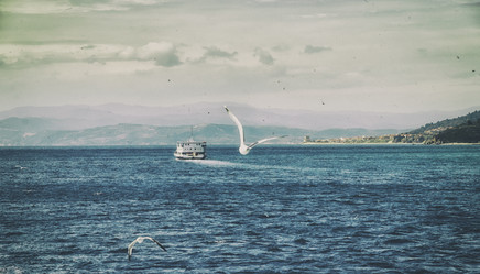 Similar image 21389979