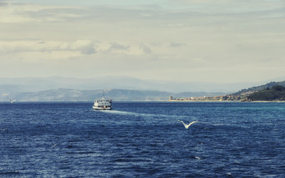 Similar image 21389981