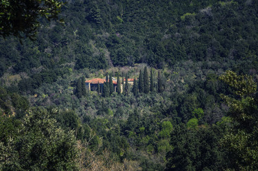 Similar image 21389982