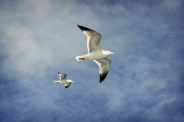 Similar image 21391254