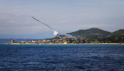 Similar image 21391255