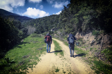 Similar image 21391257