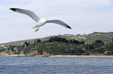 Similar image 21391258