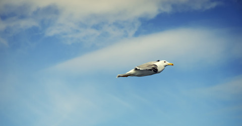 Similar image 21391261