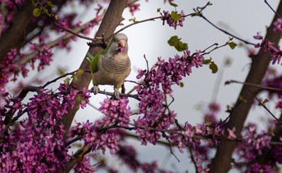 Similar image 21391468