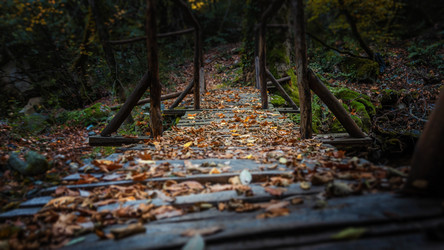 Similar image 21391473