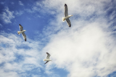 Similar image 21391735