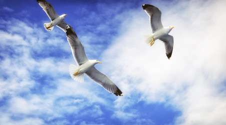 Similar image 21391739