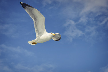 Similar image 21391741