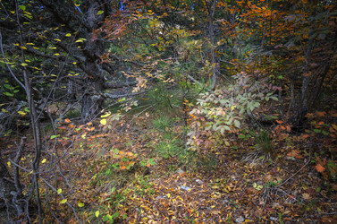 Similar image 21391742